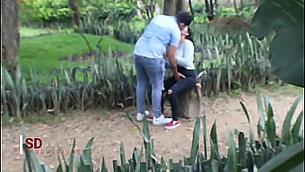 Attraper Un Couple Dans Un Parc Public: La Rencontre D'Un Voyeur Amateur