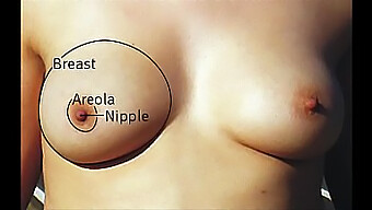 Different Types Of Boobs In One Video