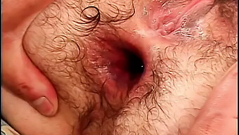 Hairy Teen'S Cheeks Spread Wide Open For Oral Pleasure